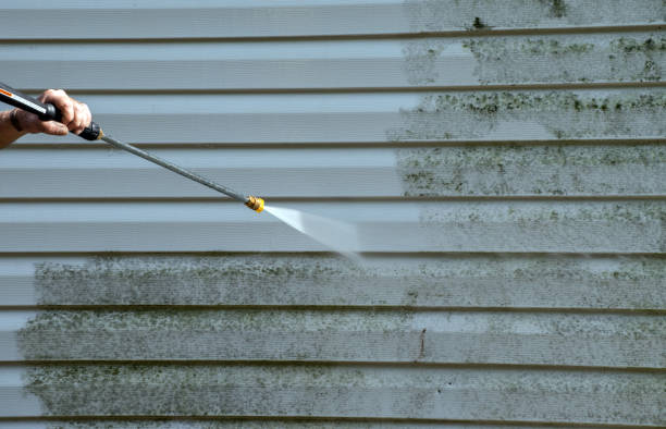 Best Mold Remediation Experts  in La Harpe, IL