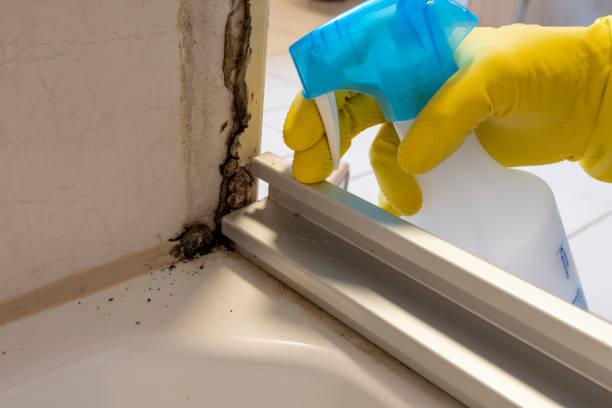 Best Crawl Space Mold Removal  in La Harpe, IL