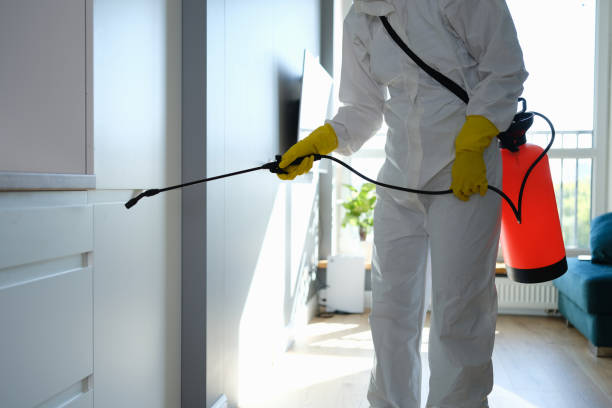 Best Mold Testing  in La Harpe, IL