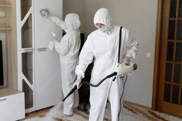 Water Damage Restoration in La Harpe, IL