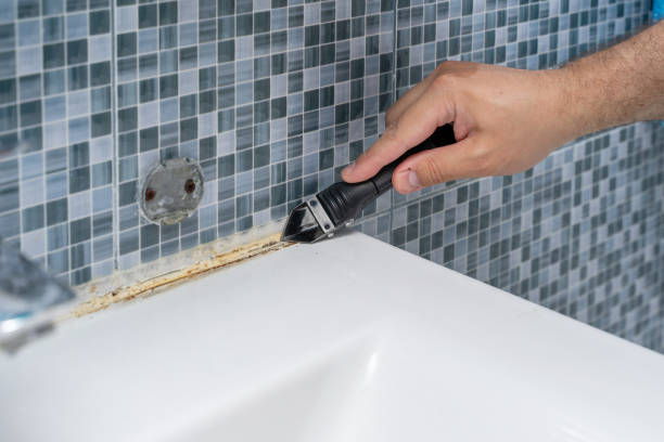 Best Home Mold Removal  in La Harpe, IL