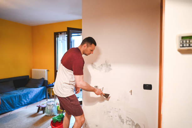 Best Mold Damage Repair  in La Harpe, IL